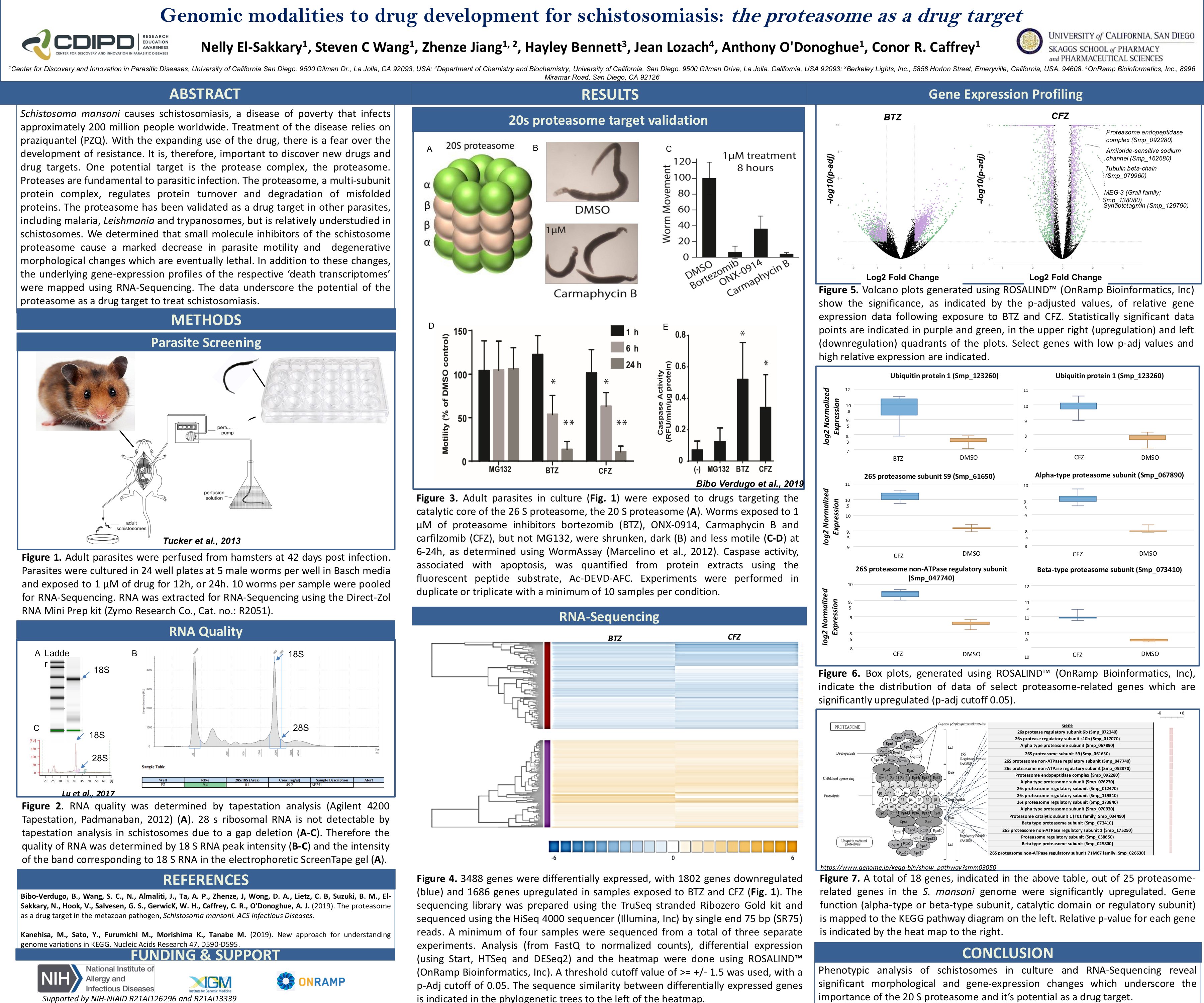 Nelli Poster