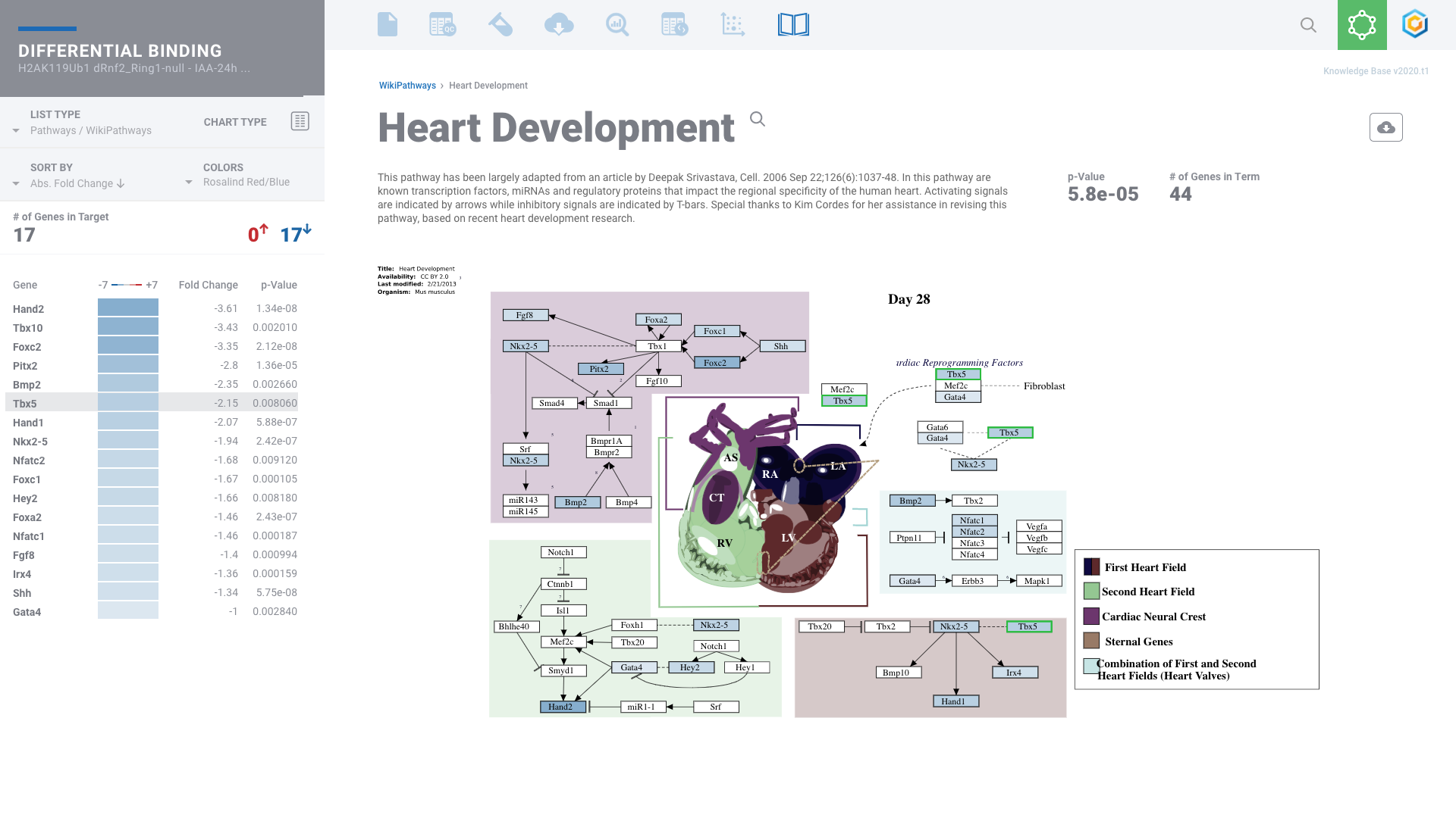 9 - Pathway Detail-1